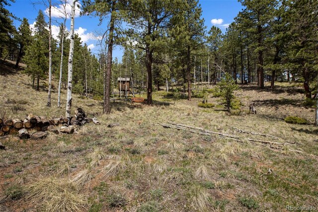 1011 W Bison Creek Trl, Divide, CO 80814 - photo 5
