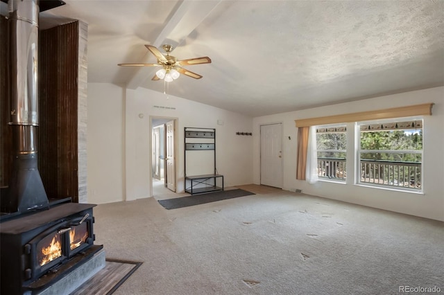 1011 W Bison Creek Trl, Divide, CO 80814 - photo 6