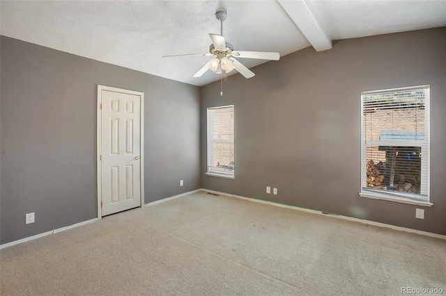 1011 W Bison Creek Trl, Divide, CO 80814 - photo 15