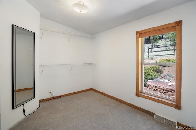 1011 W Bison Creek Trl, Divide, CO 80814 - photo 18
