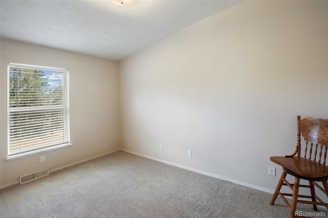 1011 W Bison Creek Trl, Divide, CO 80814 - photo 22