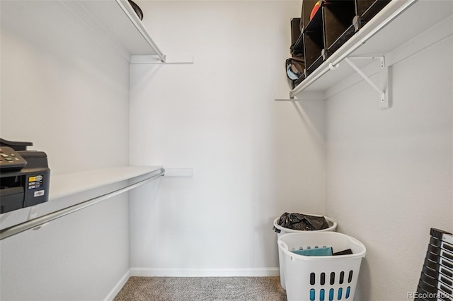 9692 W Coco Cir Unit 304, Littleton, CO 80128 - walk in closet with carpet floors