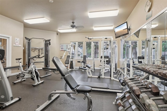 9692 W Coco Cir Unit 304, Littleton, CO 80128 - workout area with a ceiling fan and baseboards
