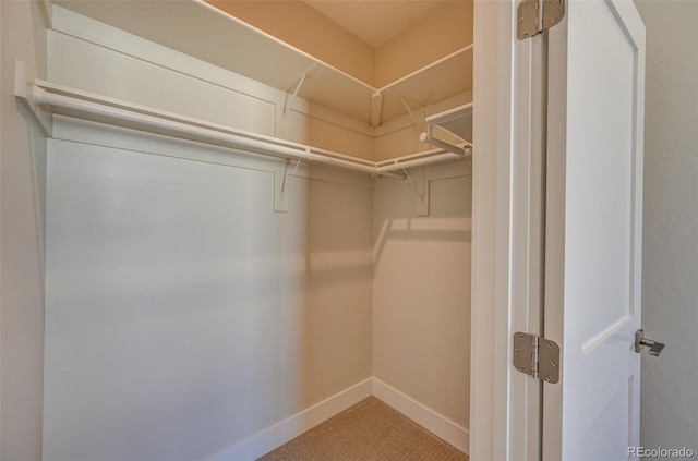 walk in closet featuring carpet