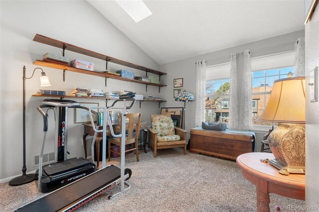 17467 E Rice Cir Unit C, Aurora, CO 80015 - workout room featuring carpet, vaulted ceiling, and a skylight