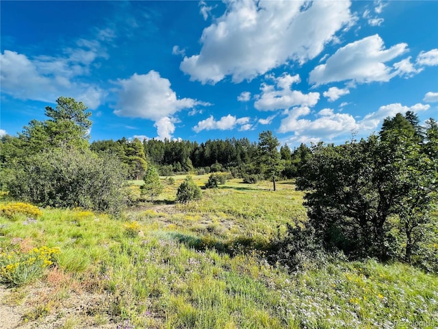 251 Rifle Pl, Pagosa Springs CO, 81147 land for sale