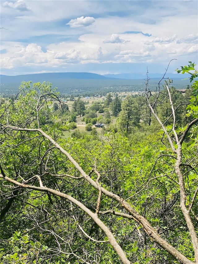 Listing photo 2 for 251 Rifle Pl, Pagosa Springs CO 81147