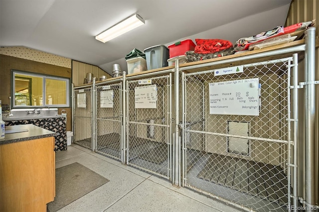 1335 S Kio St, Watkins, CO 80137 - photo 28