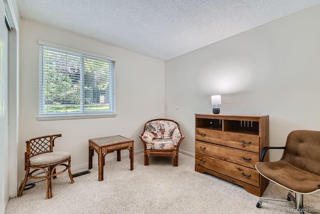 living area featuring a textured ceiling, carpet floors, and baseboards