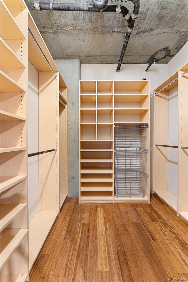 spacious closet featuring wood finished floors