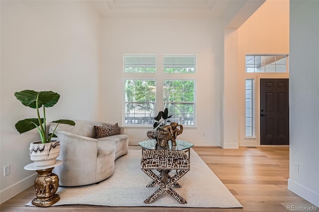 22367 Quail Run Dr, Parker, CO 80138 - entrance foyer with light wood-style floors, a high ceiling, and a tray ceiling