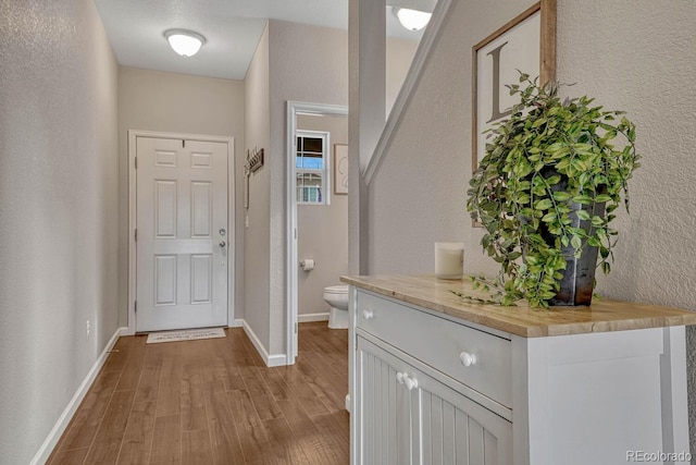 entryway featuring hardwood / wood-style flooring