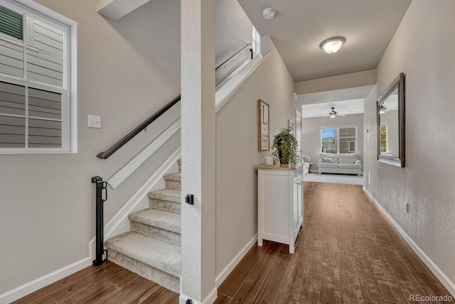 stairway featuring hardwood / wood-style floors and ceiling fan