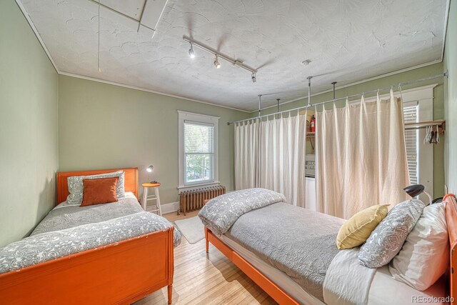 403 Scott St, Salida, CO 81201 - bedroom with radiator heating unit, light wood finished floors, ornamental molding, track lighting, and baseboards