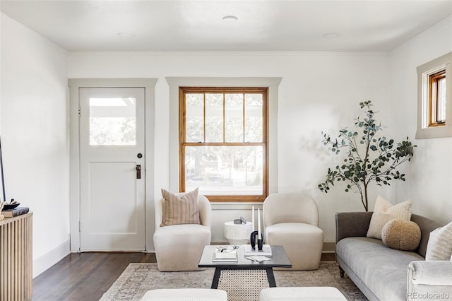 sitting room featuring dark wood-type flooring