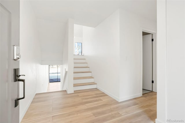 stairway with hardwood / wood-style flooring