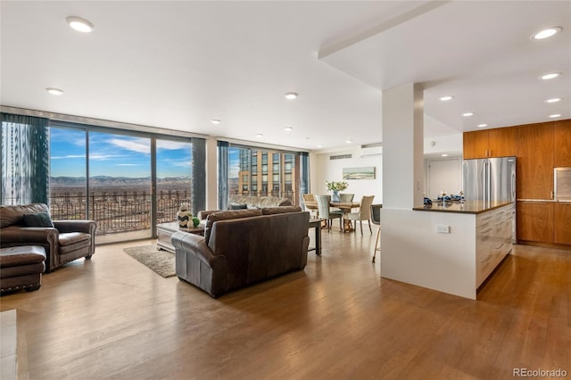 living room with light hardwood / wood-style floors and expansive windows