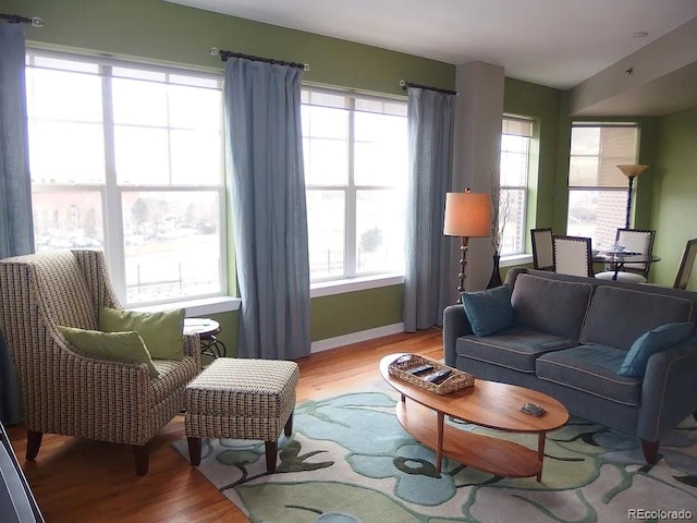 1441 Central St Unit 211, Denver, CO 80211 - living area featuring light wood-style flooring and baseboards