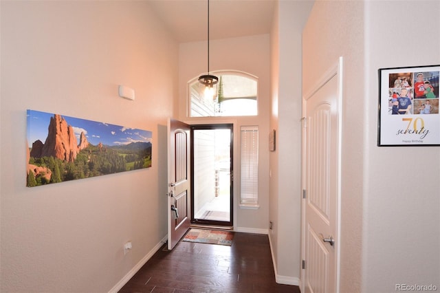 10511 Desert Bloom Way, Colorado Springs, CO 80925 - foyer entrance featuring healthy amount of natural light, dark wood-style floors, and a high ceiling