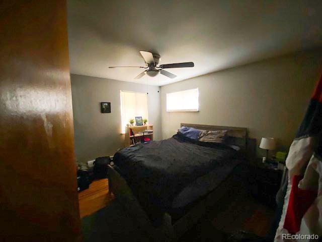 bedroom with ceiling fan
