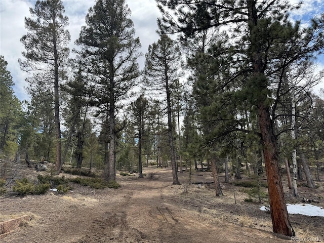 1666 Singletree Rd, Hartsel, CO 80449
