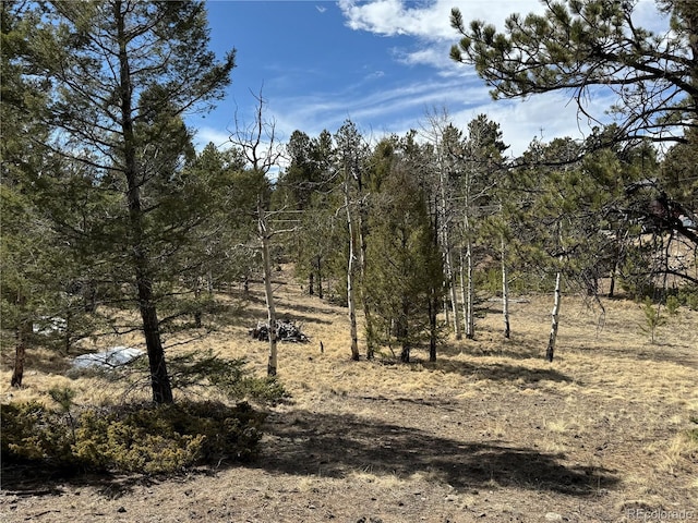 1666 Singletree Rd, Hartsel, CO 80449