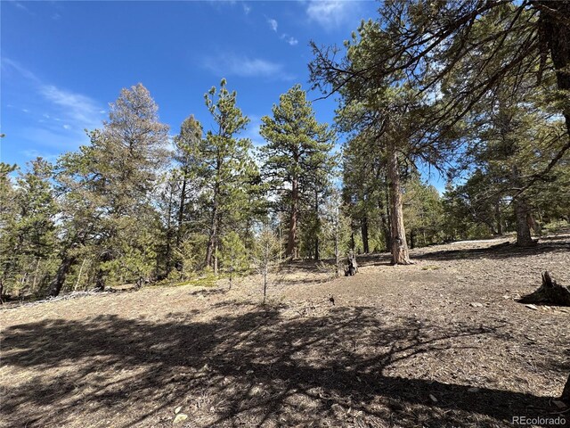 1666 Singletree Rd, Hartsel, CO 80449