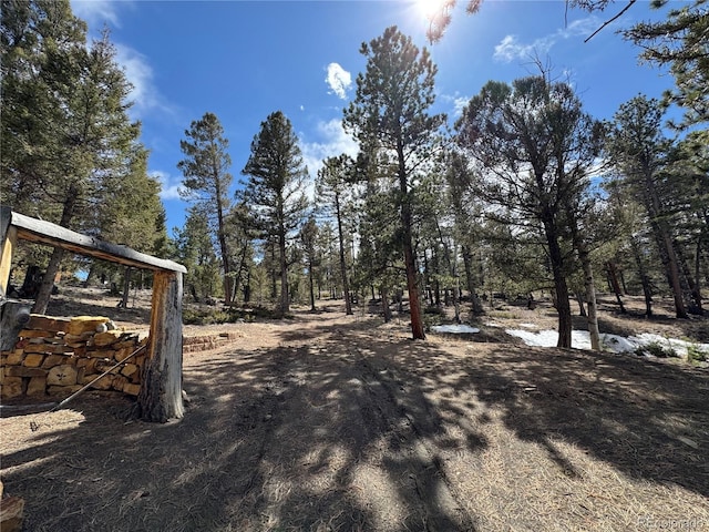 1666 Singletree Rd, Hartsel, CO 80449