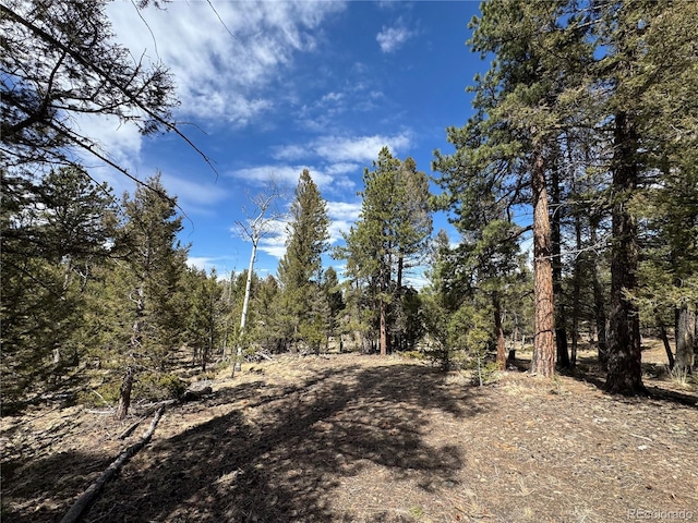 1666 Singletree Rd, Hartsel, CO 80449