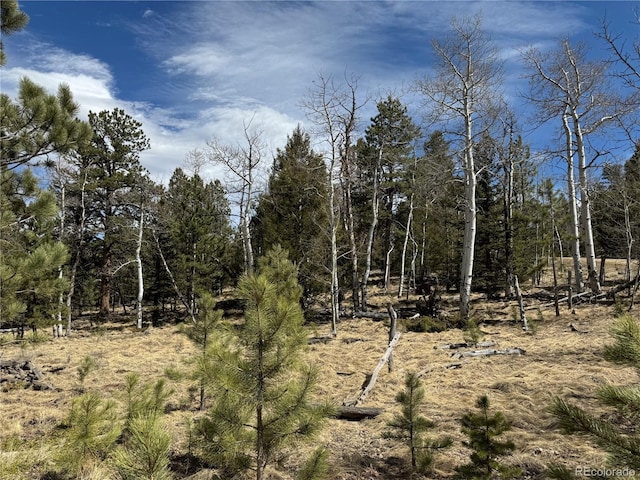 1666 Singletree Rd, Hartsel, CO 80449
