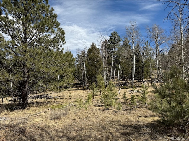 1666 Singletree Rd, Hartsel, CO 80449
