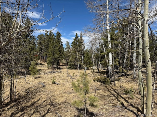 1666 Singletree Rd, Hartsel, CO 80449