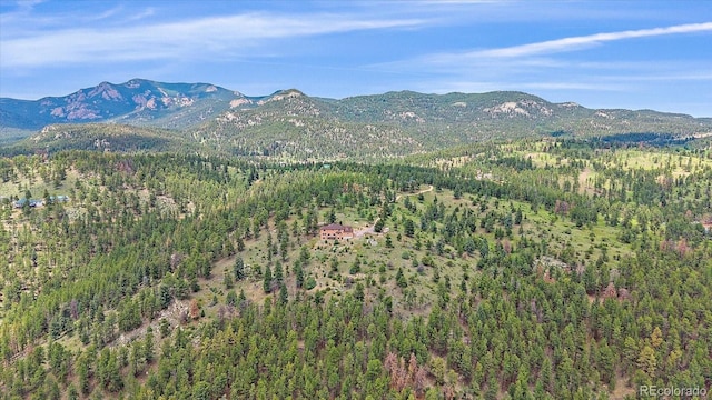 31231 Red Hawk Trl, Conifer, CO 80433 - photo 2