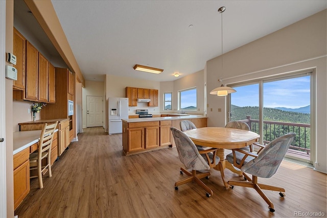 31231 Red Hawk Trl, Conifer, CO 80433 - photo 15