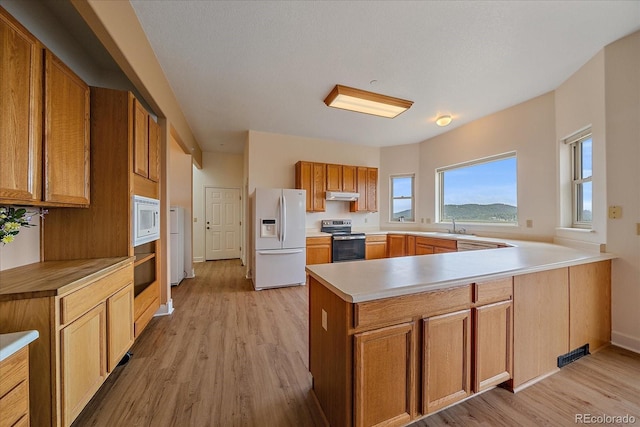 31231 Red Hawk Trl, Conifer, CO 80433 - photo 16