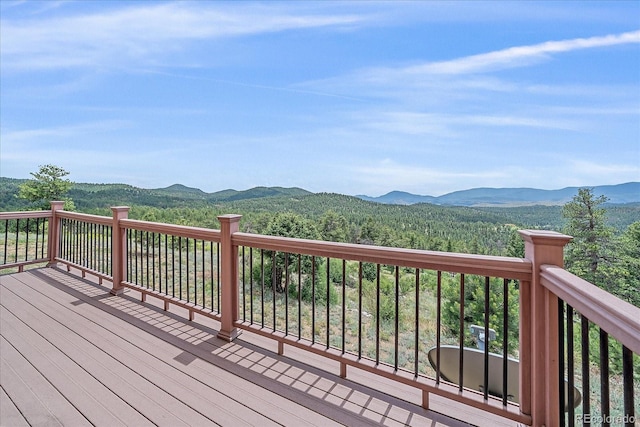 31231 Red Hawk Trl, Conifer, CO 80433 - photo 23