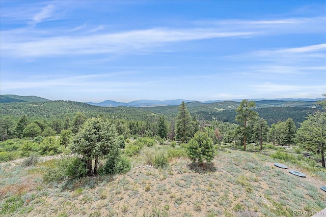 31231 Red Hawk Trl, Conifer, CO 80433 - photo 25