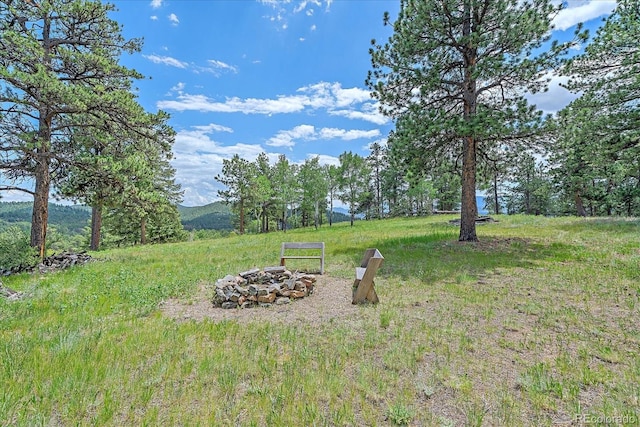 31231 Red Hawk Trl, Conifer, CO 80433 - photo 49