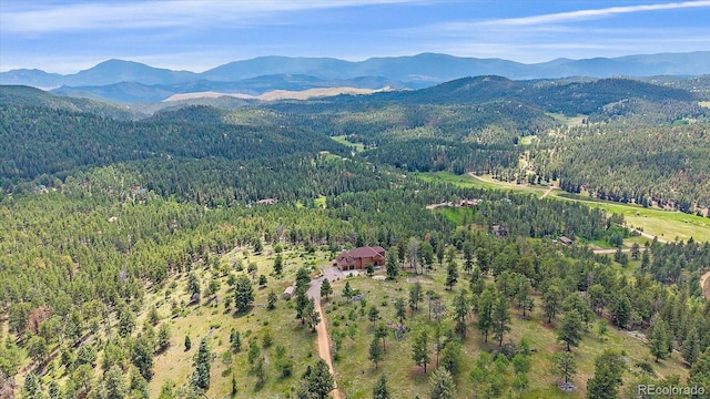 31231 Red Hawk Trl, Conifer, CO 80433 - photo 3
