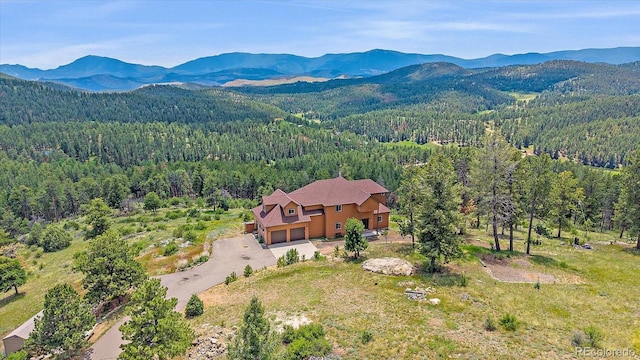 31231 Red Hawk Trl, Conifer, CO 80433 - photo 4