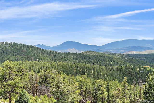 31231 Red Hawk Trl, Conifer, CO 80433 - photo 44