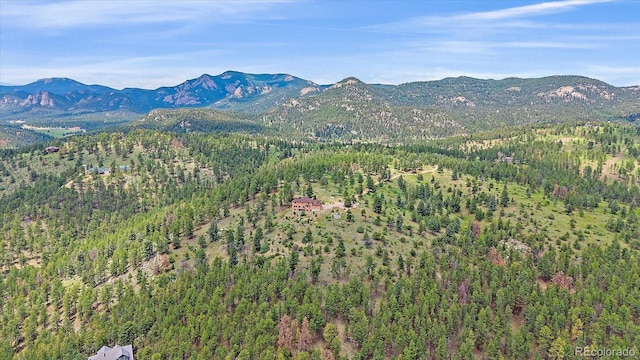 31231 Red Hawk Trl, Conifer, CO 80433 - photo 45