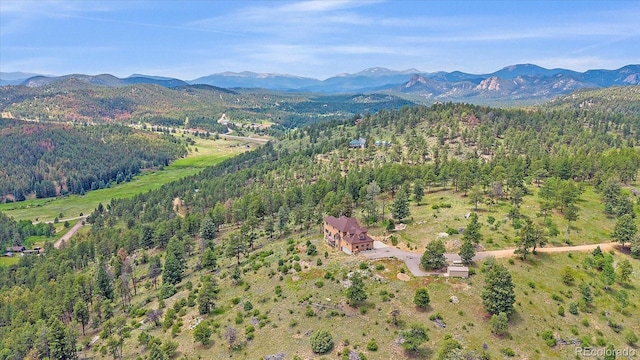 31231 Red Hawk Trl, Conifer, CO 80433 - photo 46