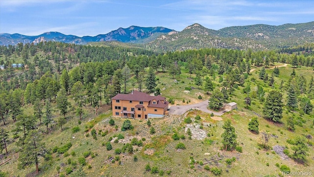 31231 Red Hawk Trl, Conifer, CO 80433 - photo 47