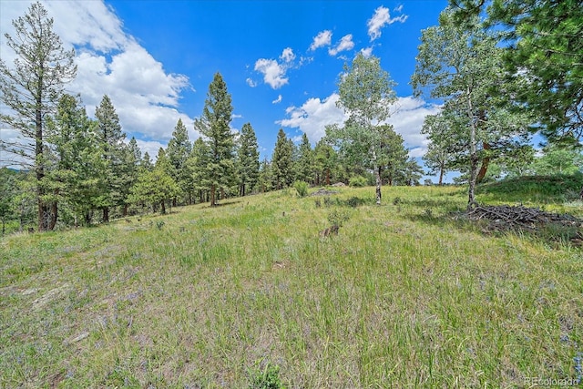 31231 Red Hawk Trl, Conifer, CO 80433 - photo 48