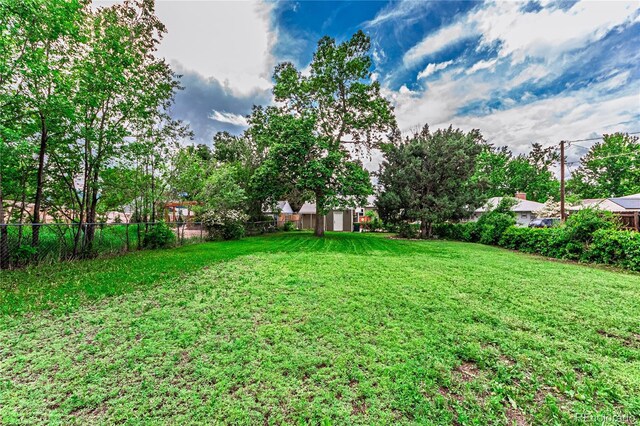 1325 N Foote Ave, Colorado Springs, CO 80909 - view of yard