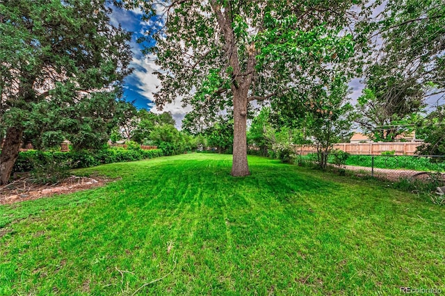 1325 N Foote Ave, Colorado Springs, CO 80909 - view of yard