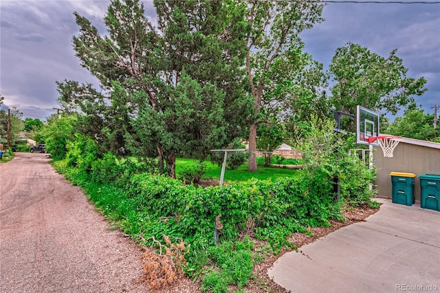1325 N Foote Ave, Colorado Springs, CO 80909 - view of yard