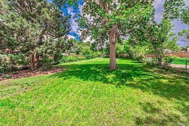 1325 N Foote Ave, Colorado Springs, CO 80909 - view of yard