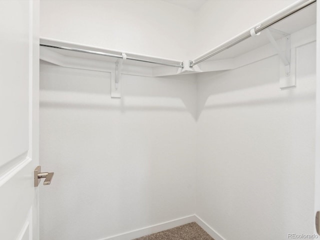 2036 S Holly St Unit 4, Denver, CO 80222 - walk in closet with carpet flooring